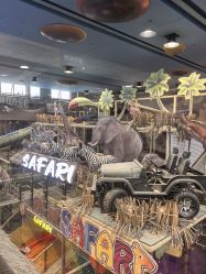 -卡通尼·Safari非洲探索乐园·生日会(金桥国际商业广场店)