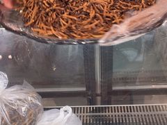 -三江源牌冬虫夏草(中山北路店)