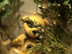 Mikaku-MIKAKU(万达广场上海宝山店)