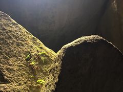 -青芝山风景名胜区