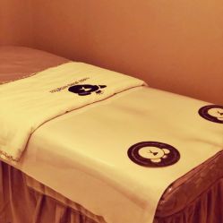 -三只熊皮肤管理中心