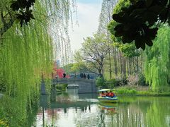 -青枫公园