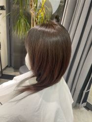 -爱维丽