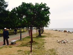 -野狸岛