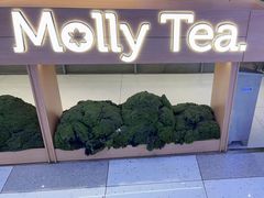 -茉莉奶白(广州动漫星城店)