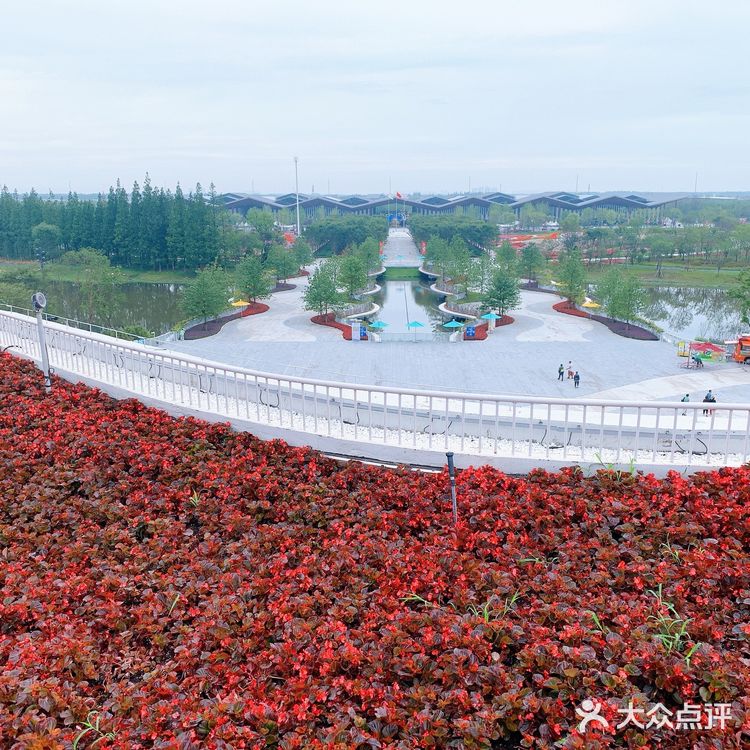 2020崇明花博会图片