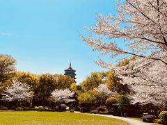 -浙江西子宾馆·牡丹厅