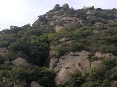 -大岭沟猕猴桃谷风景区