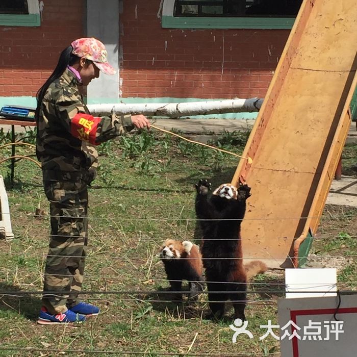 北方森林動物園