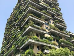 -碧桂园凤凰城酒店(南京店)