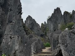 -泥凼石林风景区