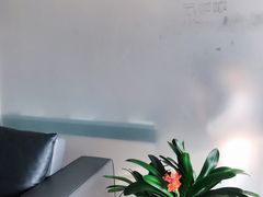 大堂-震旦博物馆·A Cafe