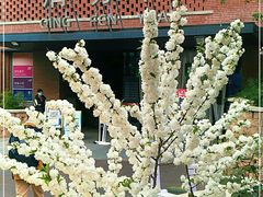 -清华大学-清芬园