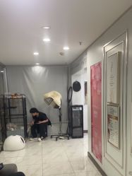 -镁连社·美联社