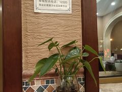 -巴依老爷新疆美食(清华东门店)