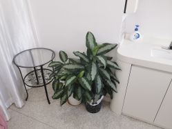 -慕颜医疗美容·皮肤微整 抗衰