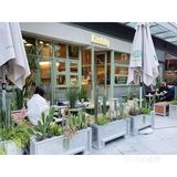 KUDDO 新店 🌵🌵