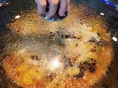 -挂雪铁锅炖大鹅