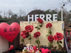 -HERRE·FARM 赫尔露营农场·团建聚会包场