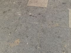 -大南门牛肉包子店