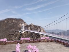 景点-丹东凤凰山景区