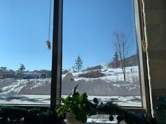 -长白山凯悦酒店·市集咖啡厅