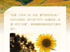 -越洋肖氏老米线(杨家坪店)