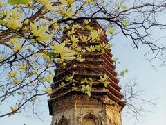 -玲珑塔公园