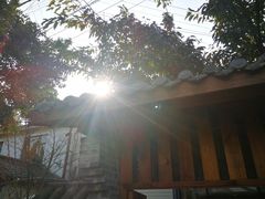 -三圣花乡旅游区