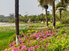 -洛龙公园