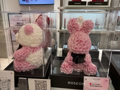 -ROSEONLY诺誓(广州K11店)