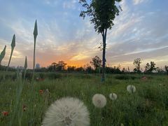 -汉长安城未央宫国家考古遗址公园