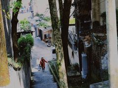 -老字号怡玺·藿香雅鱼(20年雅安店)