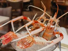 -斯普汇生蚝牛排馆(中骏世界城店)