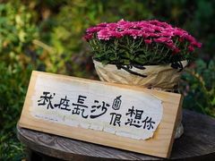 -润泽天·湘味家宴(岳麓山店)