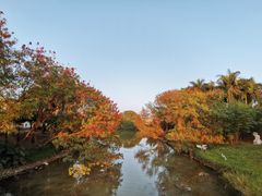-海上田园