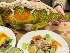 -FAIRYLAND龙族星球主题餐厅(凯丹广场店)