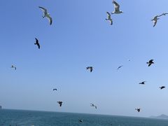 -海驴岛(荣成市)