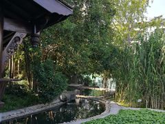 -活水公园