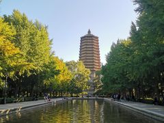 -玲珑塔公园
