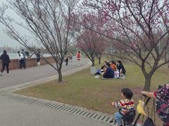 -南通洲际绿博园