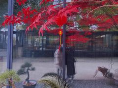 -苏州本色美术馆