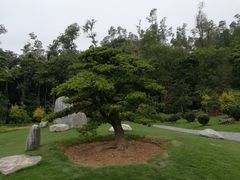 -深圳仙湖植物园