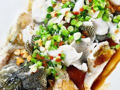 -粤盛海鲜平价店(洛溪食街店)