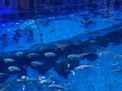 -华夏文旅西安度假区