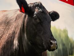 -左庭右院鲜牛肉火锅(苏州园区永旺店)