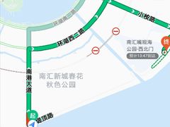 -南汇嘴观海公园