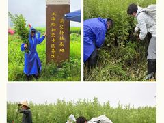 -裕和堂中医推拿艾灸(太古汇臻品店)