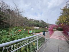 -佛山华盖山公园