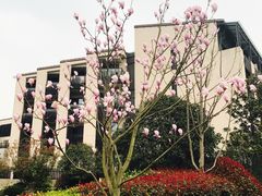 -上海崇明金茂凯悦酒店